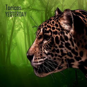 Toricos - Yesterday [Deep Strips]