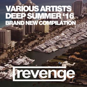Various Artists - Deep House Summer 2016 [Revenge Music]