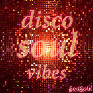Various Artists - Disco Soul Vibes [Sedsoul]