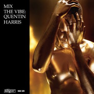 Various Artists - Mix the Vibe- Quentin Harris Timeless Re-Collection [King Street Classics]