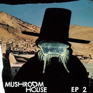 Various Artists - Mushroom House EP2 [Toy Tonics]