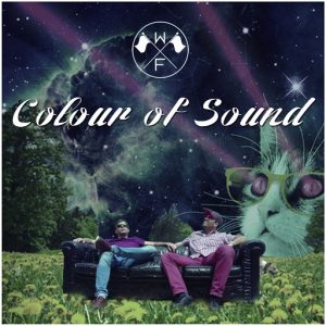 Waving Flags - Colour Of Sound [Inwama Records]