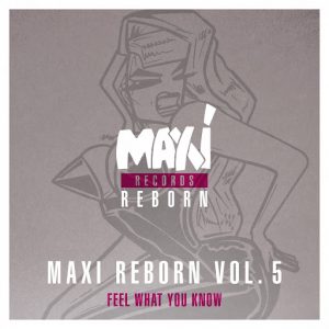 big-muff-maxi-reborn-vol-5-feel-what-you-know-ep-nettwerk