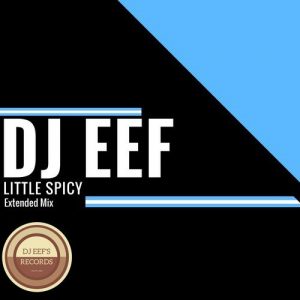 dj-eef-little-spicy-djeef-s-records