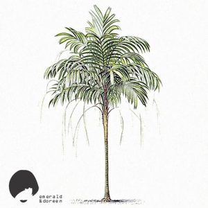 daytona-the-palm-tree-emerald-doreen-records