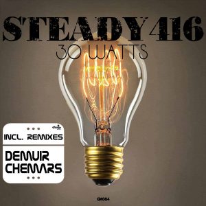 steady416-30-watts-ginkgo-music