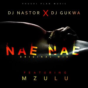 dj-nastor-dj-gukwa-feat-mzulu-nae-nae-phushi-plan-music