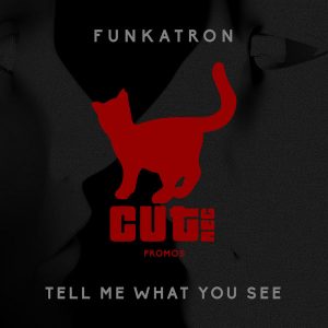 funkatron-tell-me-what-you-see-cut-rec-promos