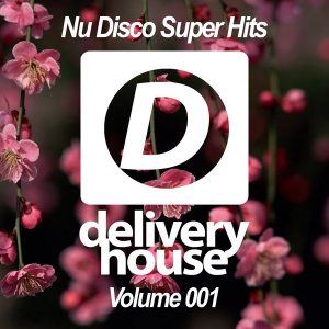 various-artists-nu-disco-super-hits-volume-001-delivery-house