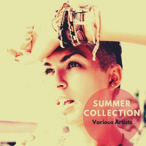 various-artists-summer-collection-onebigfamily-records