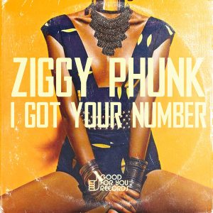 ziggy-phunk-got-your-number-good-for-you-records