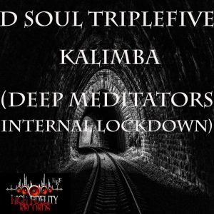 d-soul-triplefive-kalimba-deep-meditators-internal-lockdown-high-fidelity-productions