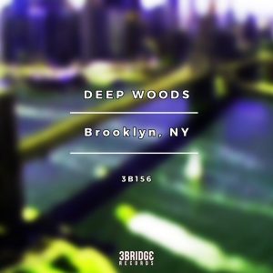 deep-woods-brooklyn-ny-3bridge-records