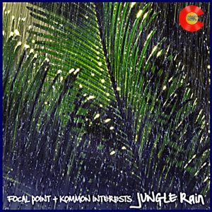 focal-point-kommon-interests-feat-ricky-arnett-jungle-rain-colorado