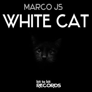 marco-js-white-cat-bit-to-bit