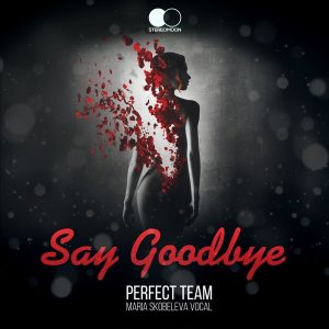 perfect-team-say-goodbye-stereomoon