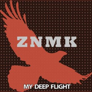 rousing-house-my-deep-flight-single-znmk-records