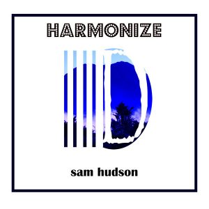 sam-hudson-harmonize-delete-records