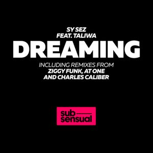 sy-sez-feat-taliwa-dreaming-incl-ziggy-funk-at-one-and-charles-caliber-remixes-subsensual