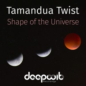 tamandua-twist-shape-of-the-universe-deepwit