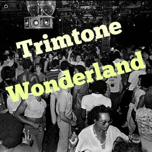 trimtone-wonderland-trimone-at-the-disco-mix-one-foot-in-the-groove