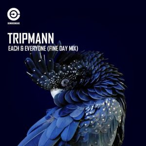 tripmann-each-everyone-condeduque