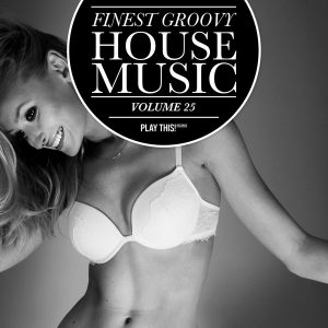 various-artists-finest-groovy-house-music-vol-25-play-this-records