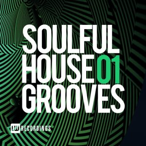 various-soulful-house-grooves-vol-01-lw-recordings