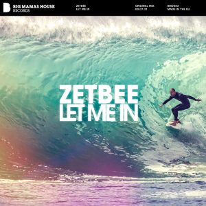 zetbee-let-me-in-big-mamas-house-records