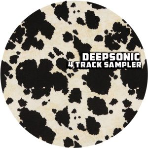 deepsonic-4-track-sampler-afro-rebel-music