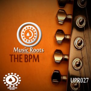 music-roots-the-bpm-nights-under-pressure-records-south-africa