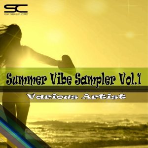various-artists-summer-vibe-sampler-vol-1-sound-chronicles-recordz